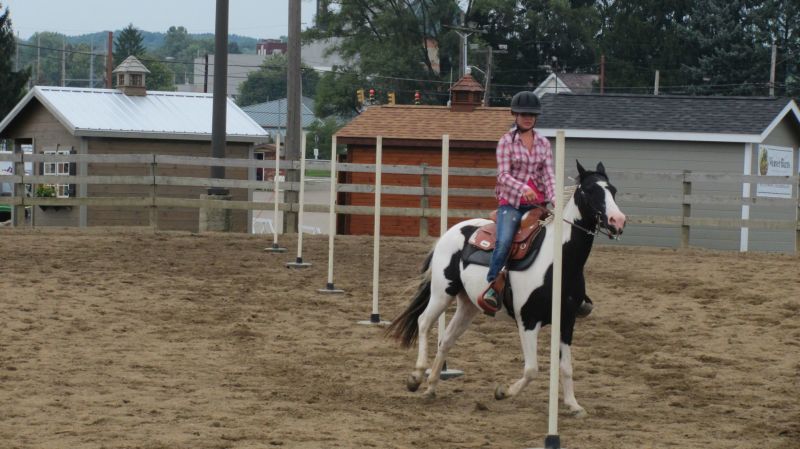 Horses, of courses!