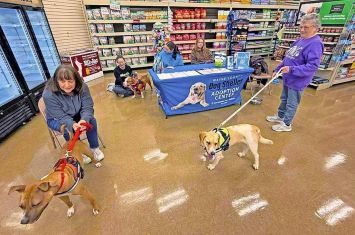 How to give a shelter dog a new lease on life