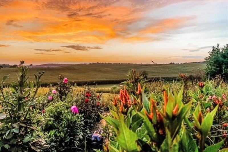 Hummingbird Hill Flower Farm a peaceful oasis near Shreve