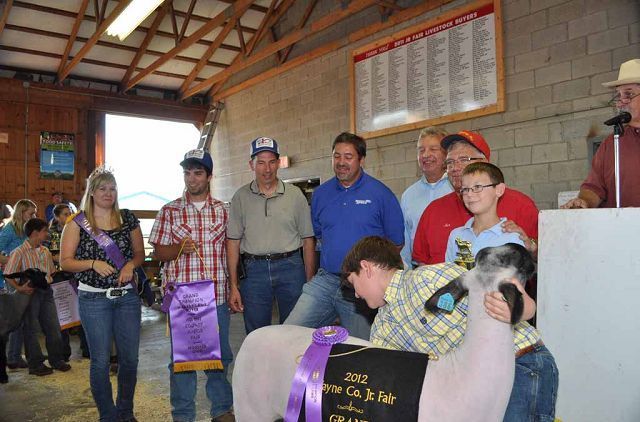 Hundreds of animals sold at Wayne County Fair livestock auction