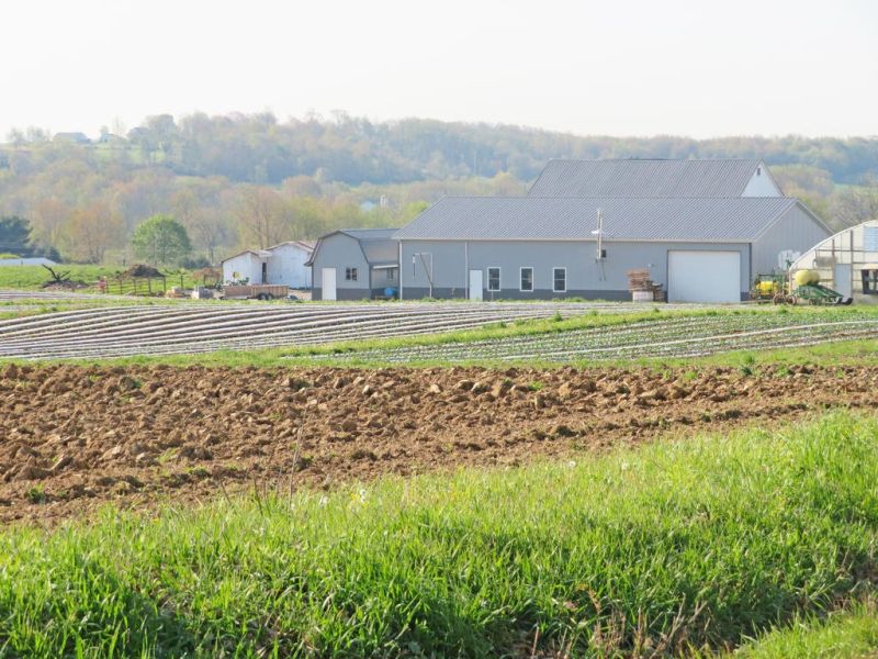 Increasing local food security