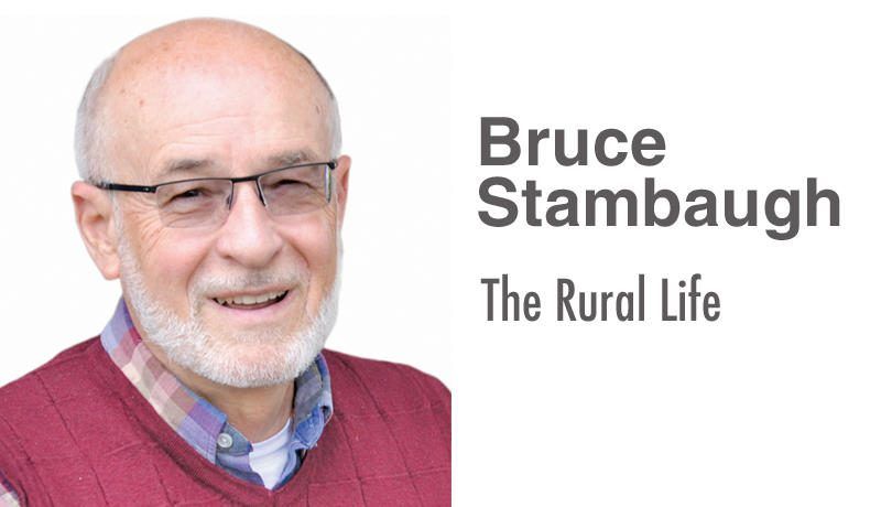 Insights into my enigmatic father's active life