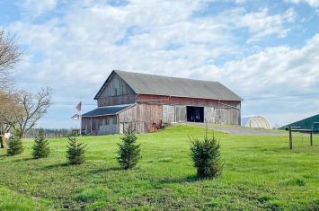 Journey to bring barn back to life