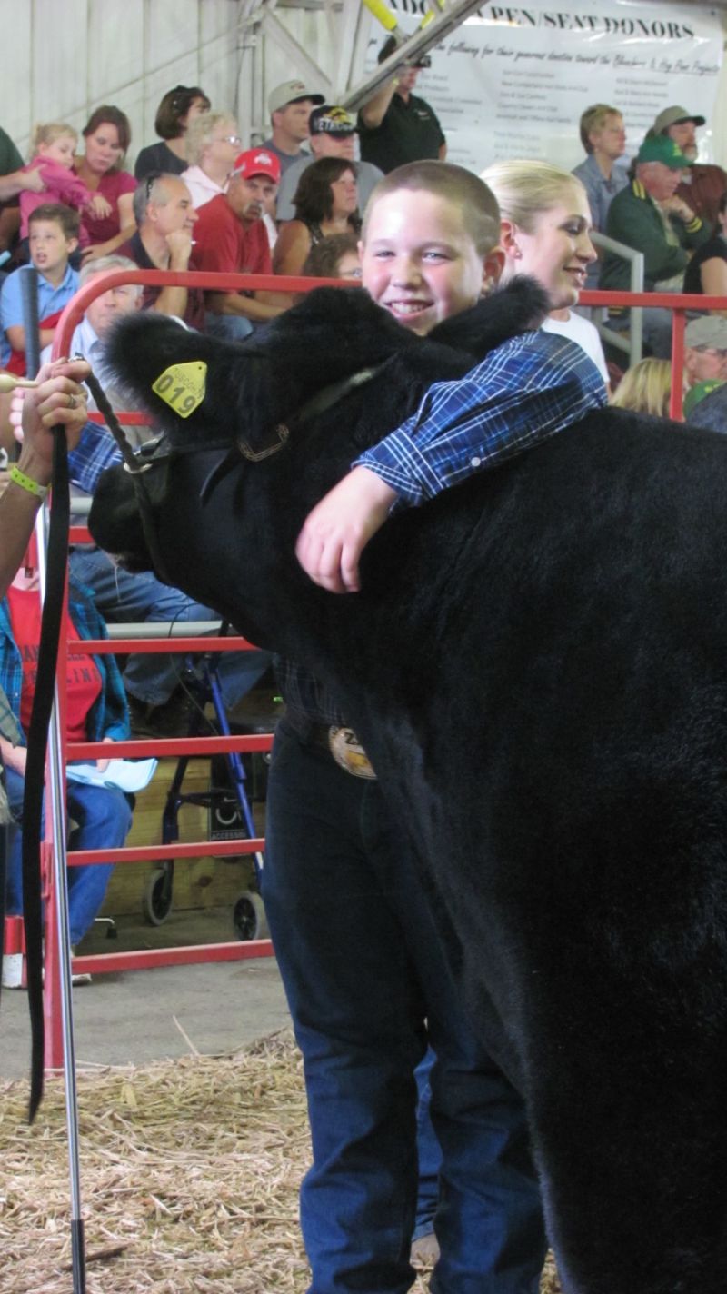 Junior Fair Market Steer, Feeder Calf, and Beef Breeding Show winners named at Tuscarawas County Fair