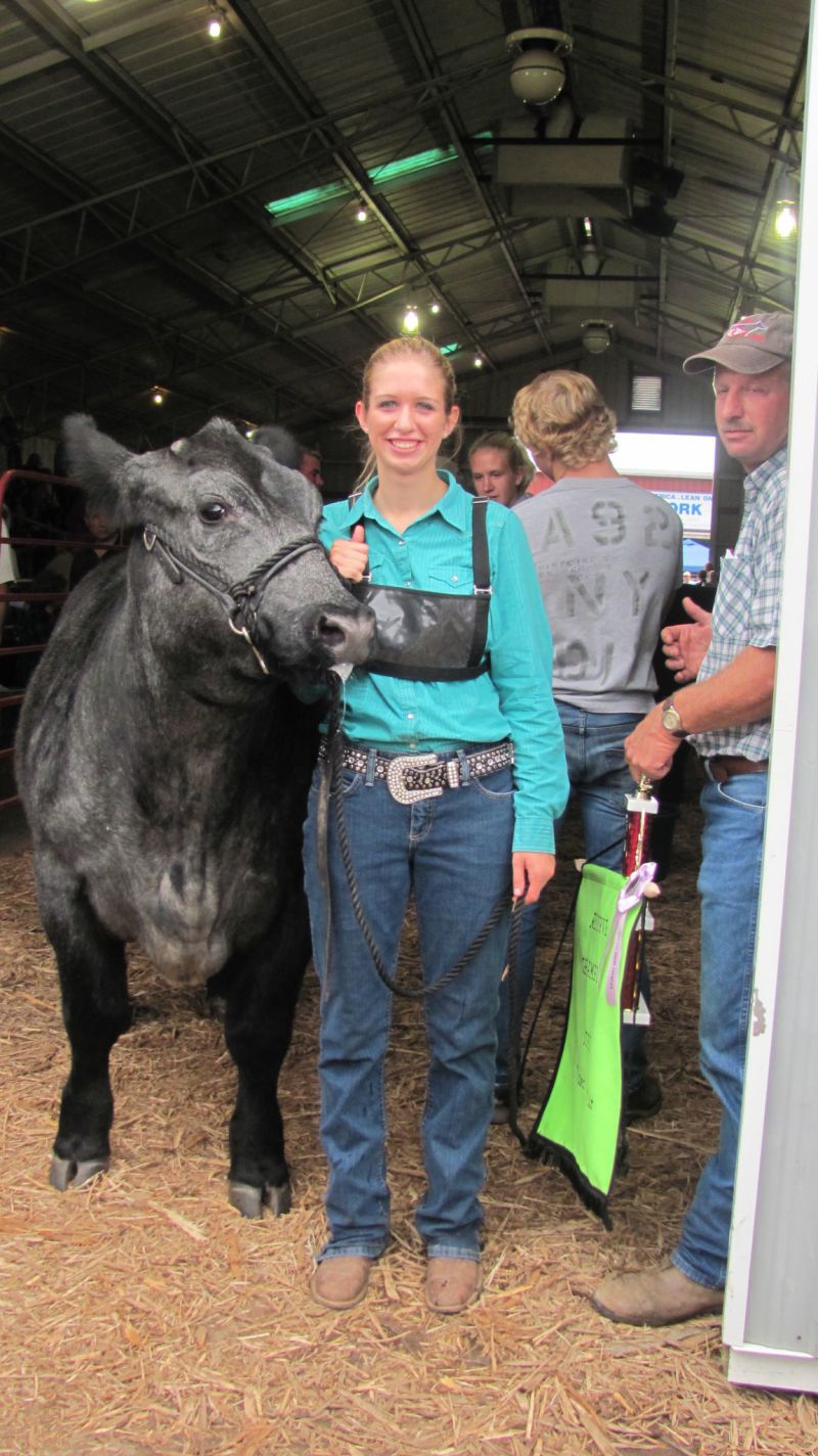 Junior Fair Market Steer, Feeder Calf, and Beef Breeding Show winners named at Tuscarawas County Fair