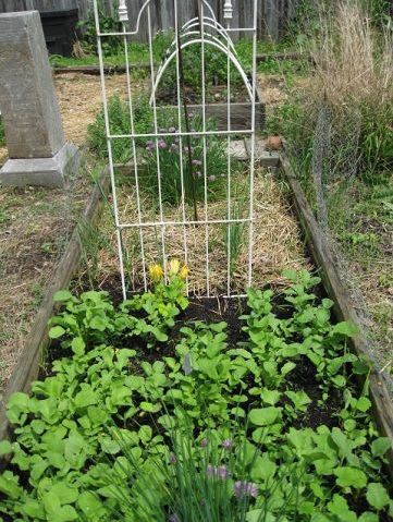 Keeping up the garden for food... and a place to relax