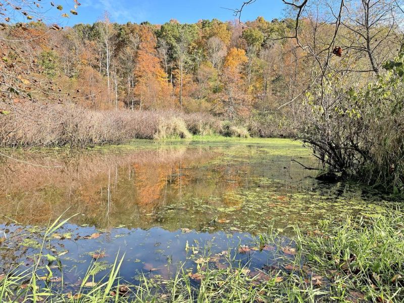 Killbuck Watershed Land Trust awarded state wetland grant