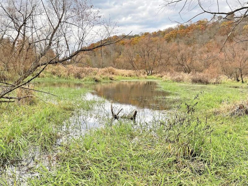 Killbuck Watershed Land Trust plans to rejuvenate Crane Swamp