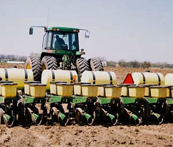 Late planting means weed control is both easier, more challenging