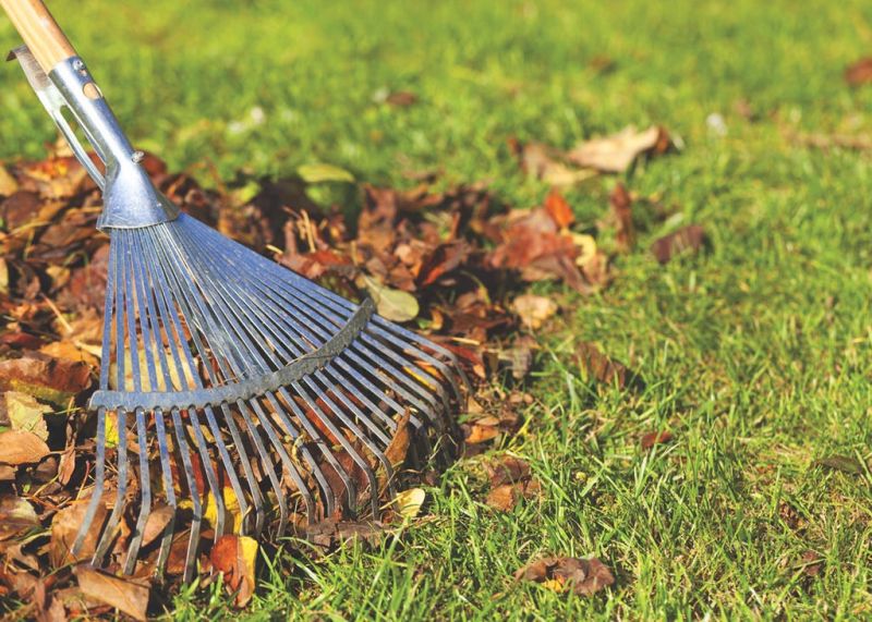 Leaf collection is underway in Millersburg