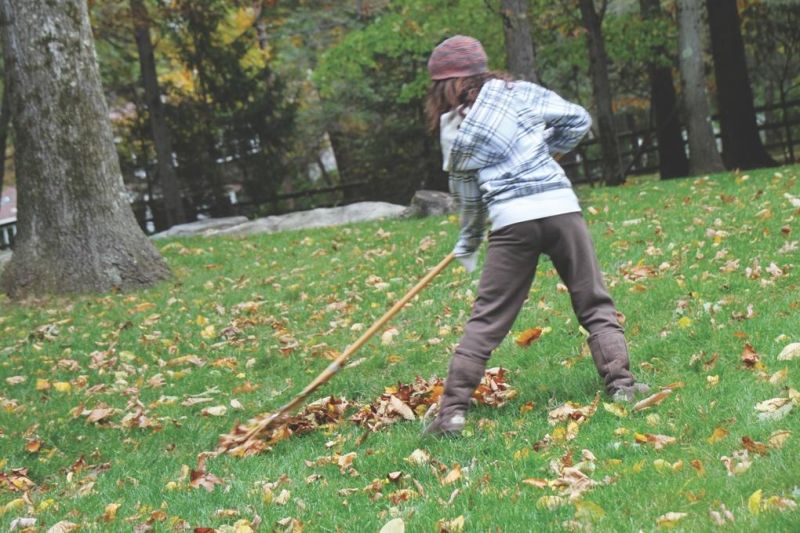Leaf raking helps seniors