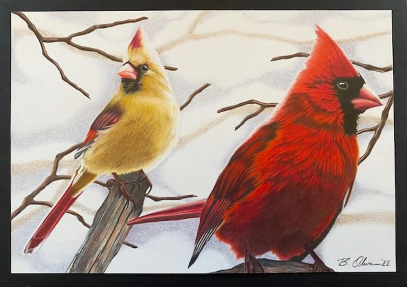 Library offers North American bird art program