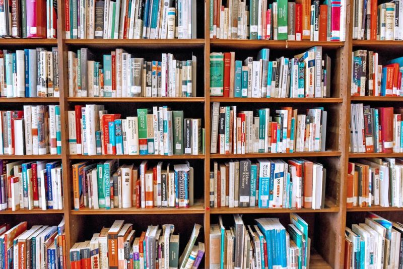 Library shares 2022 top  circulating book titles