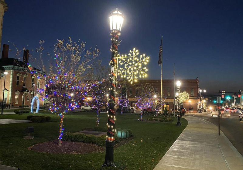 Lions let the Christmas lights roar in downtown… The Bargain Hunter