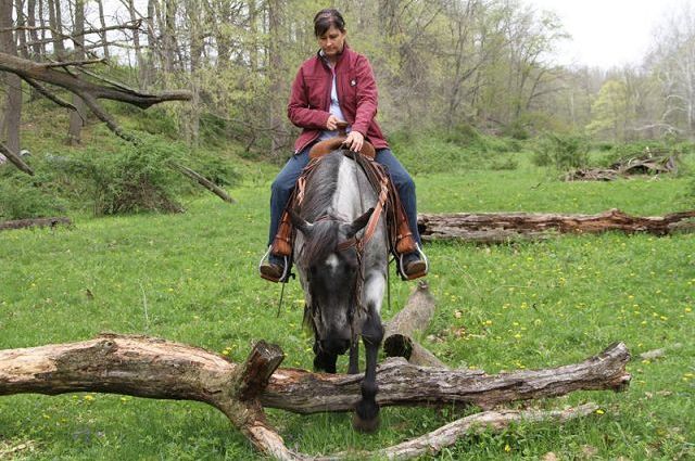 Local equestrian to compete in reality TV show