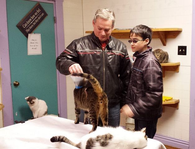 Local Tae Kwon Do student raises funds and awareness for the regions many homeless cats