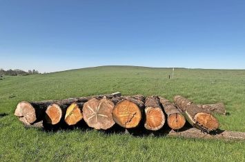 Logs get Legacy Point Park one step closer to opening