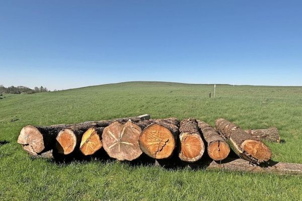 Logs get Legacy Point Park one step closer to opening