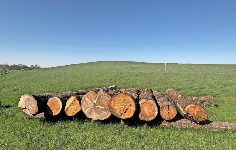 Logs get Legacy Point Park one step closer to opening