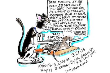 Long-term houseguest making himself ‘purrfectly’ at home