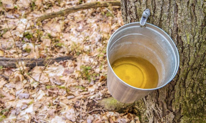 Making syrup is a sweet hobby for Steve Sommers