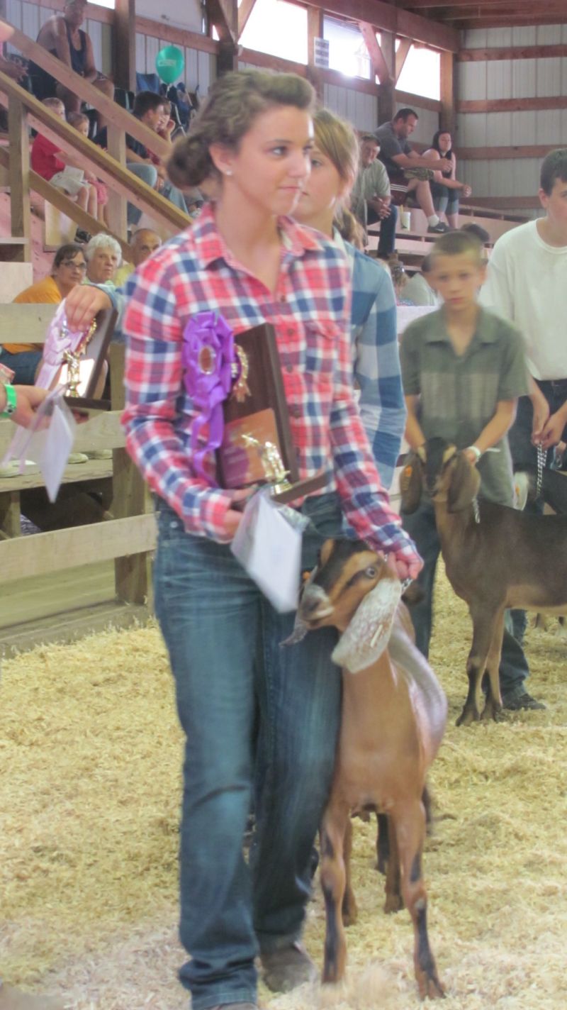 Market goat competition shows three of four top winners to be repeat blue ribbon awardees