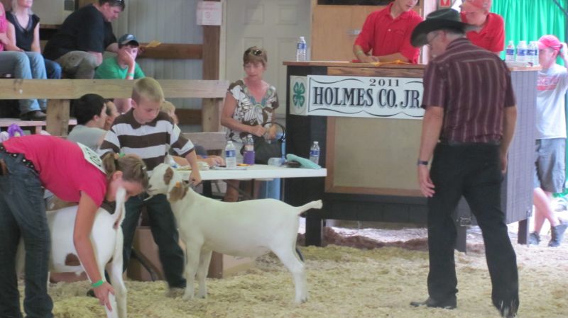 Market goat competition shows three of four top winners to be repeat blue ribbon awardees