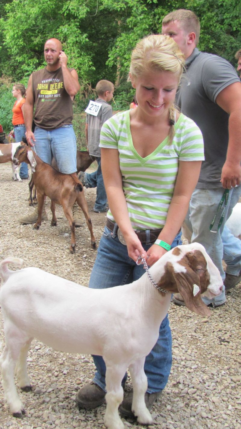 Market goat competition shows three of four top winners to be repeat blue ribbon awardees