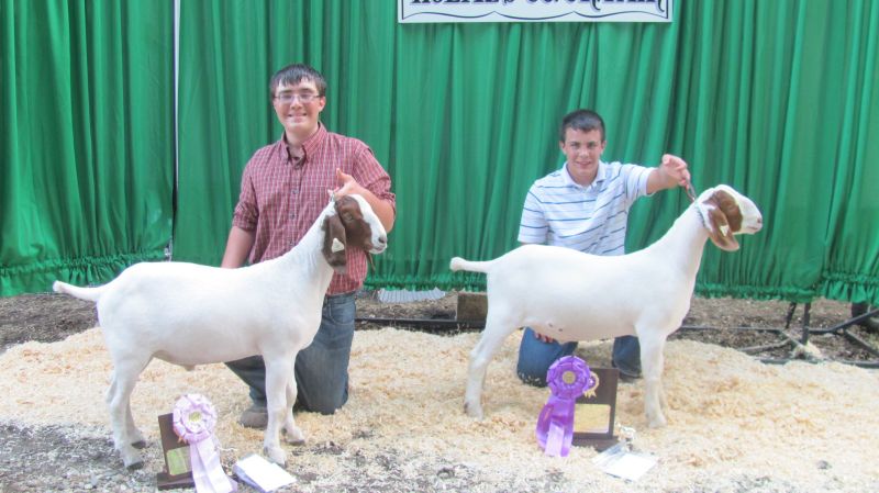 Market goat competition shows three of four top winners to be repeat blue ribbon awardees