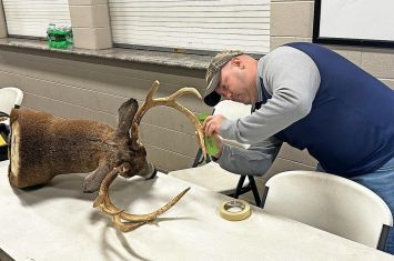 Measuring up to Big Buck standards