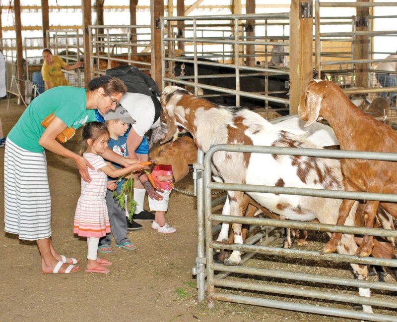 More fun on the farm: Expanded petting zoo and… | The ...