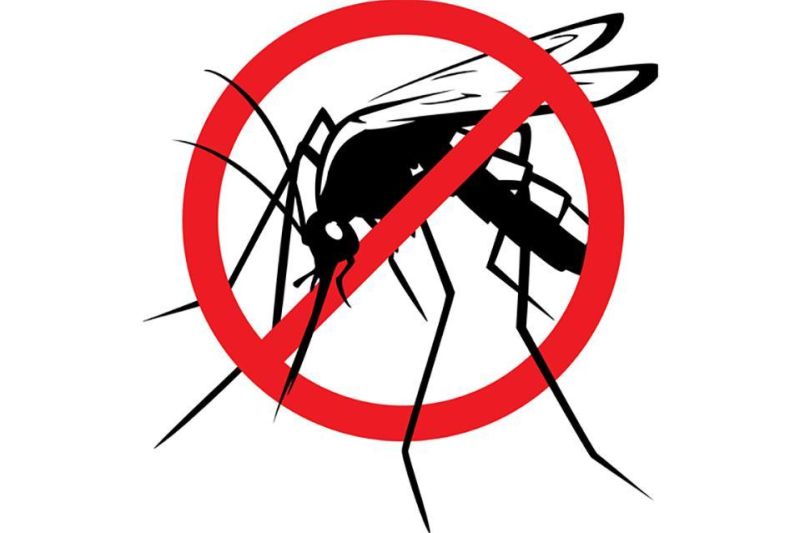 Mosquito spraying to continue