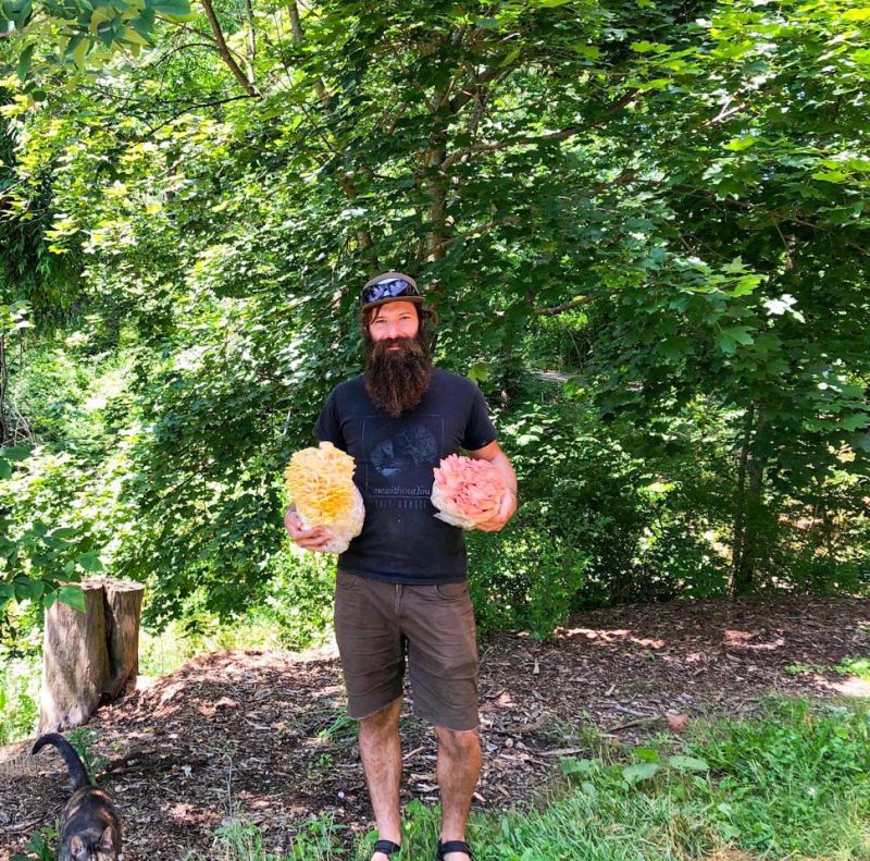 Local mushroom farm is blooming