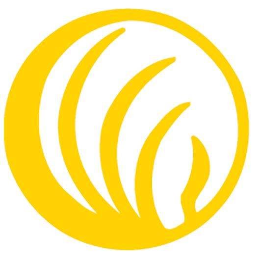 NAMI course supports families and caregivers