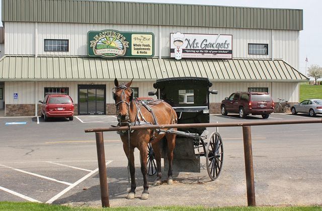 Nature's Food Market, Miss Gadgets join the Troyer's Country Market family