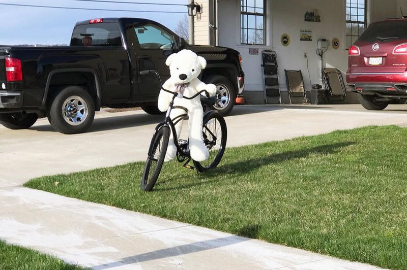 Neighbors host a friendly bear hunt