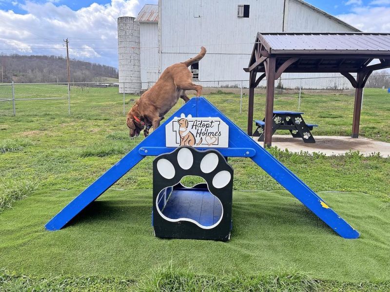 New playground will give Holmes dogs room to roam