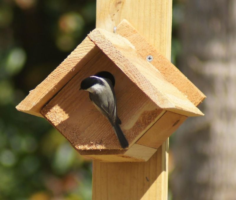 Norma Johnson Center offers make-and-take birdhouse workshop