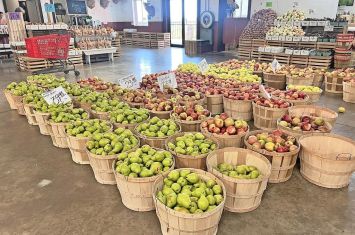 Ohio apple tradition is going strong