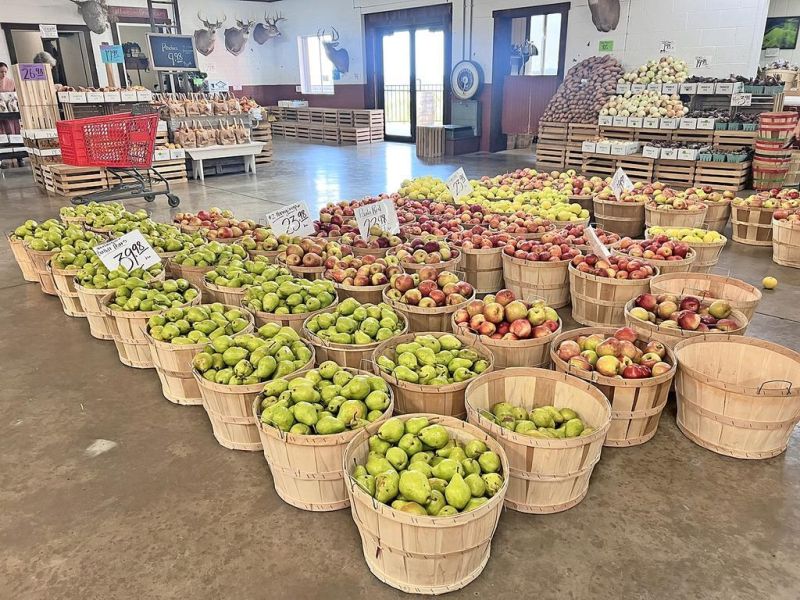 Ohio apple tradition is going strong