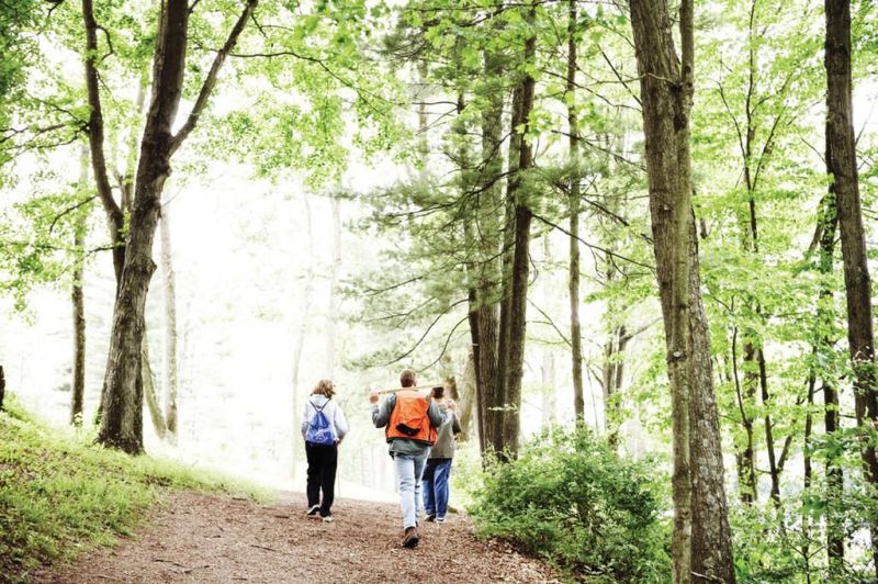 Ohio Forestry Grants available
