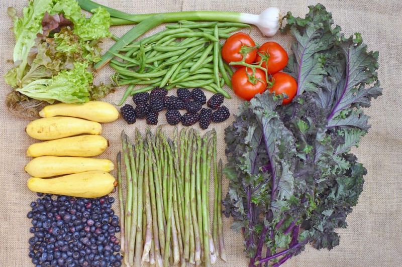 Opportunities exist for farmers of organic produce