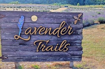 Orrville's Lavender Fest continues to grow