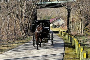 OSU Extension, ATI Equine teaming up for educational day