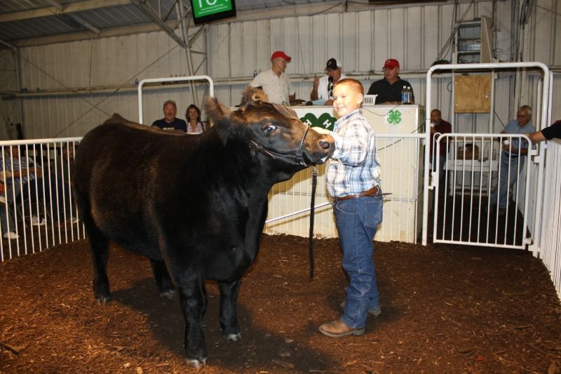 Photos from 2010 Tusc. Co. Fair