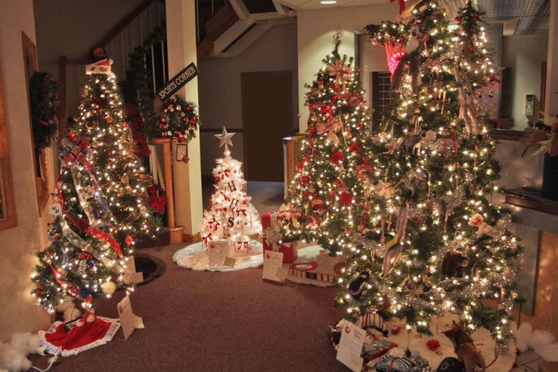 Pomerene lights up the season with Christmas Tree Festival