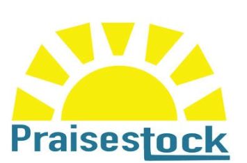 Praisestock celebrates 20 years with local praise bands
