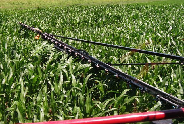 Prevent annual weed seed production in fallow fields