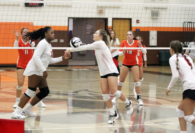 Previews of the area’s high school volleyball teams