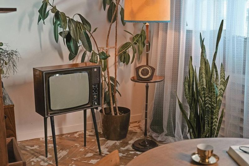 Program celebrates classic television